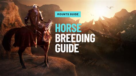 black desert selling breeding horses.